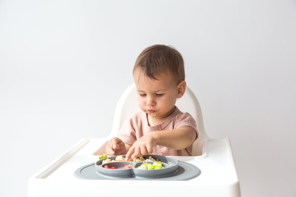 alimentos durante el primer año de edad2