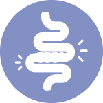 Icono_webhomebivos003